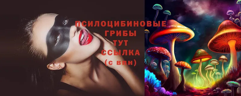 Псилоцибиновые грибы Psilocybe  shop состав  Невельск 